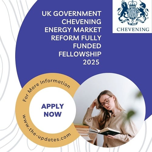 UK Government Chevening Energy Market Reform Fully Funded Fellowship 2025